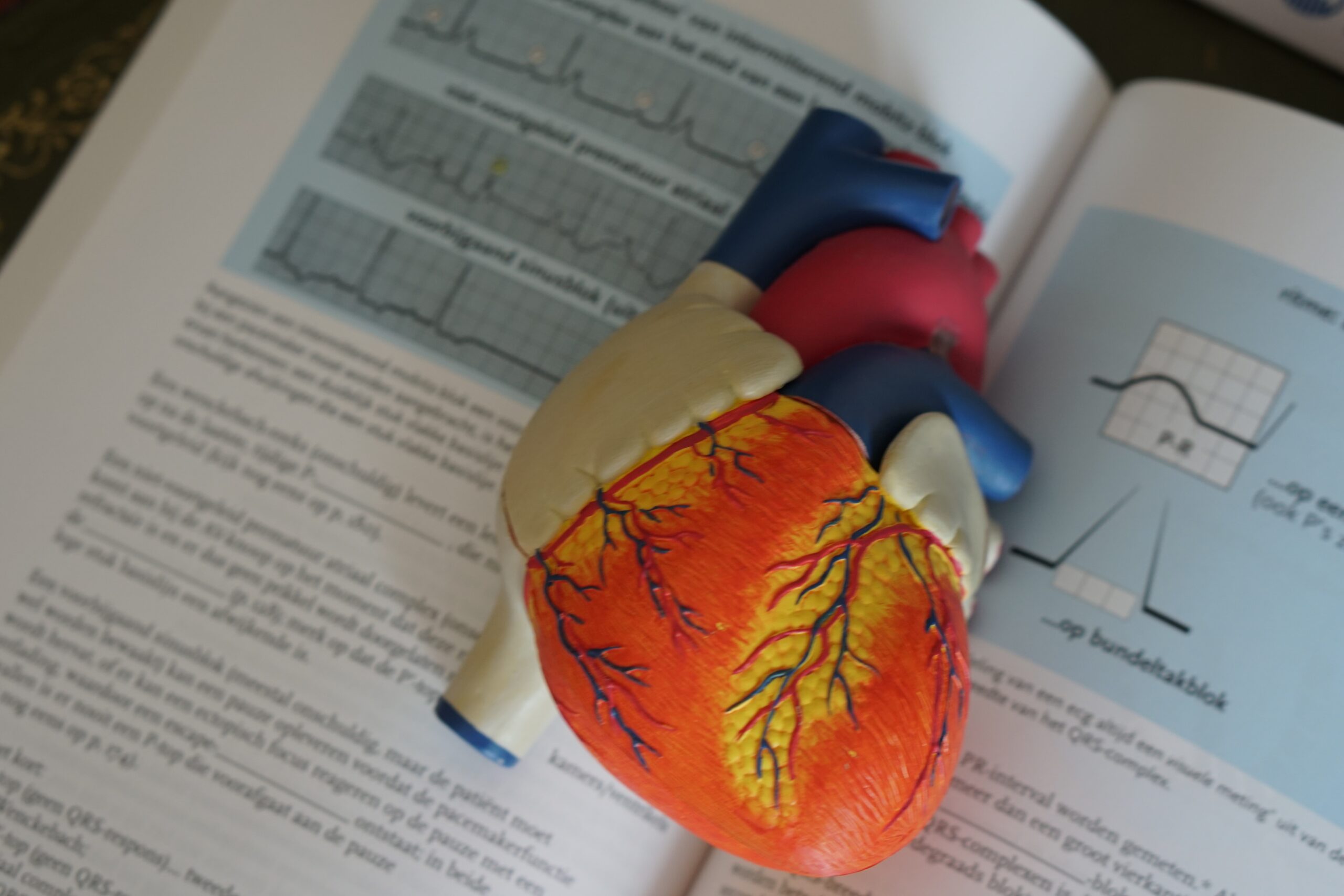 usmle step 2 ck preparation time