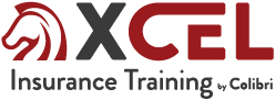 XCEL24_Logo_RGB_45px-2x